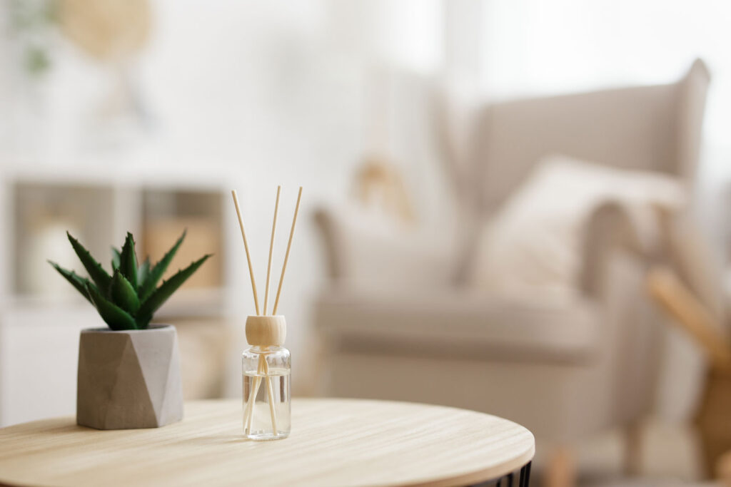 Small diffuser and succulent plant on timber table in Clarity Psychology lounge setting